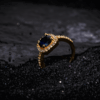 vosgi ring