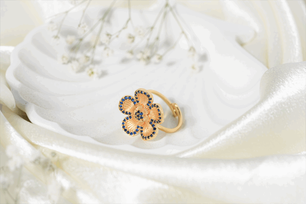vosgi ring
