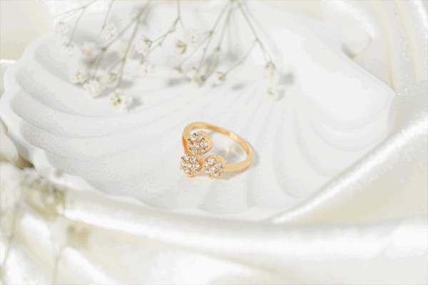 vosgi ring