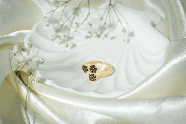 vosgi ring